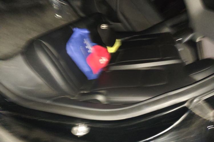 Used Tesla Model Y 2021 Standard Range Rear-Wheel Drive Version Left Rear Seat