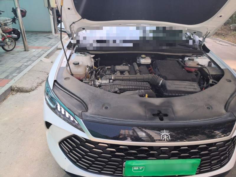 Used BYD Qin PLUS 2025 DM-i Smart Drive 55KM Leading Model — 22