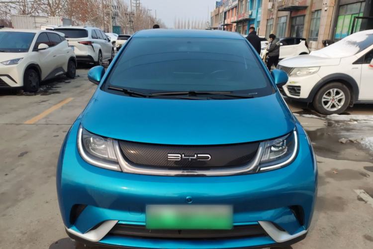 Used BYD Dolphin 2021 405 km Free Version