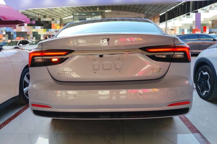 Used Rising ER6 2020 620 km Smart Edition