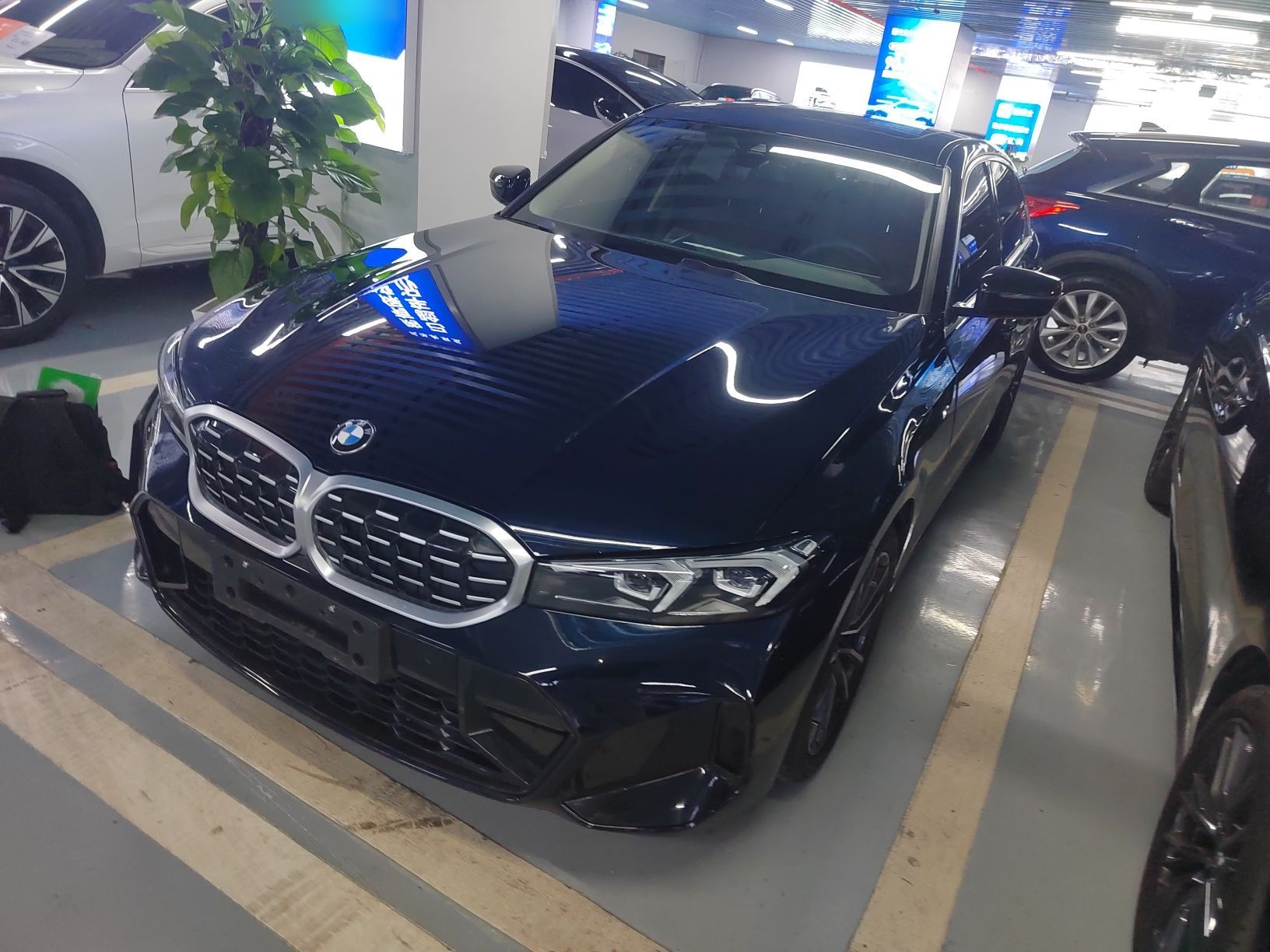 Parte inferior delantera