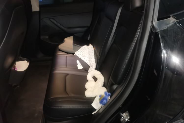 Used Tesla Model Y 2021 Standard Range Rear-Wheel Drive Version
