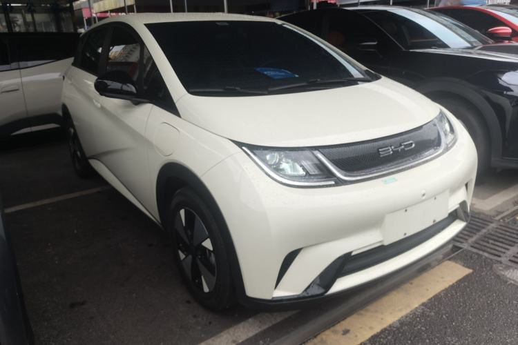 Used BYD Dolphin 2023 420 km Free Version Front Right 45 Deg