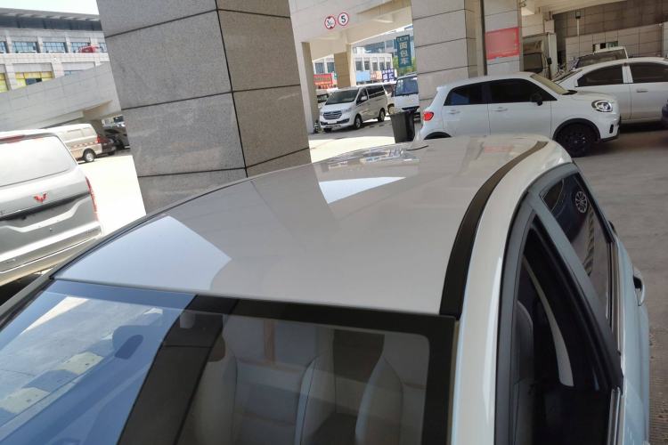 Used SOL E10X 2022 Flower Fairy Design Four-Leaf Clover