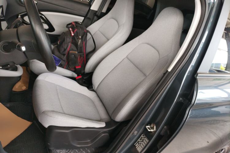 Used Leapmotor T03 2023 310 Lite Edition Left Front Seat