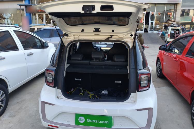 Used SOL E10X 2022 Flower Fairy Design Four-Leaf Clover