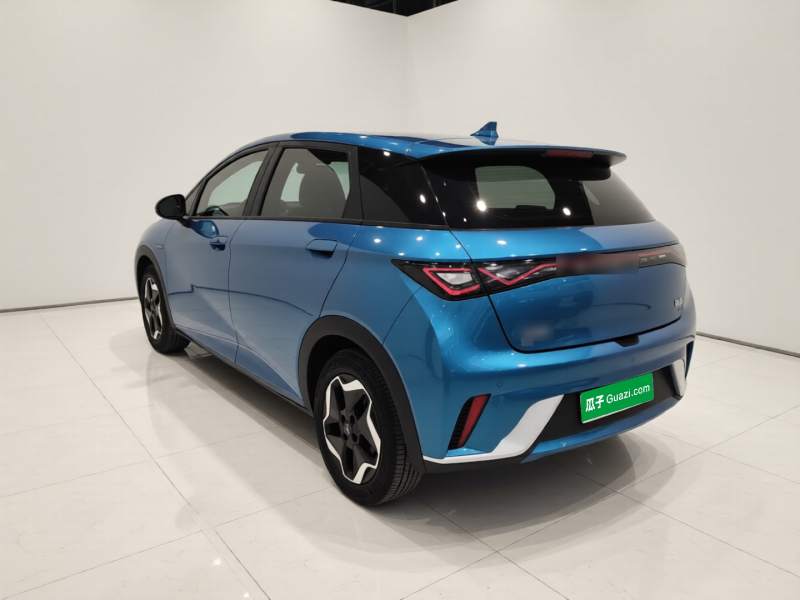 Used BYD Dolphin 2021 405 km Fashion Edition — 4