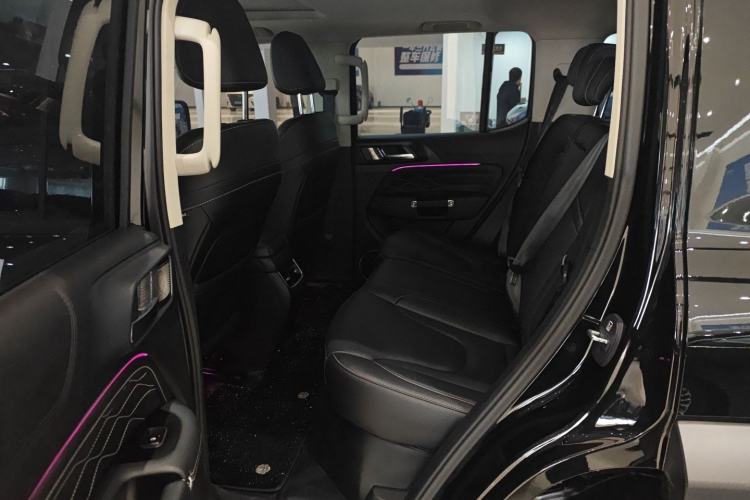 Used Tank 300 New Energy 2025 Hi4-T Left Rear Seat