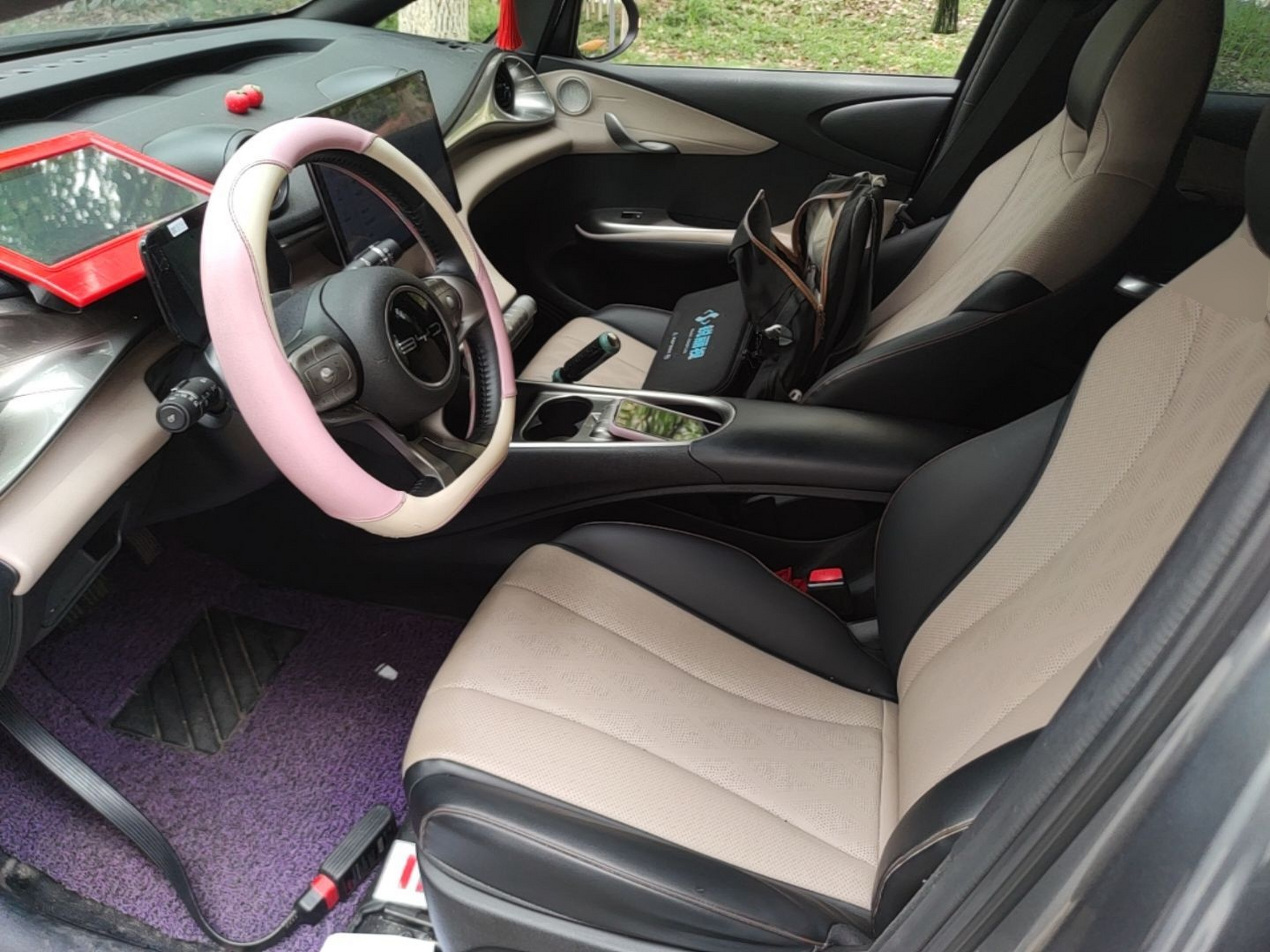 Interior delantero