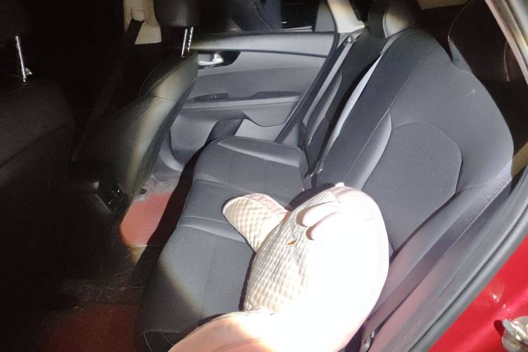 Used Kia K3 2019 1.5L CVT New Sharp Edition Left Rear Seat