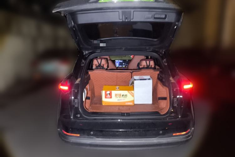 Used NETA X 2023 500 Lite