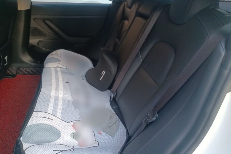 Used Tesla Model 3 2020 Revised Version Standard Range Rear-Wheel Drive – Upgraded Edition