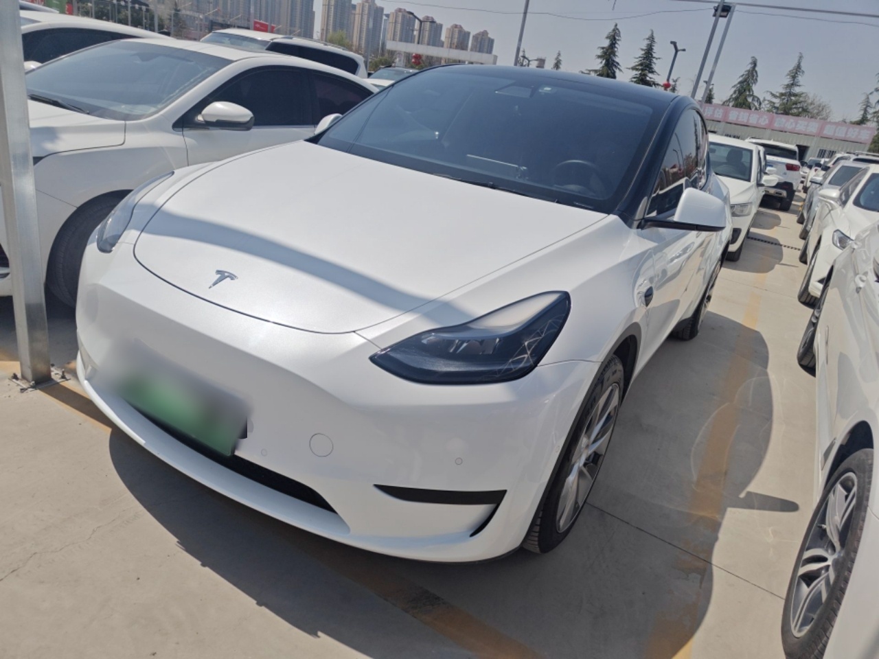 Parte inferior delantera