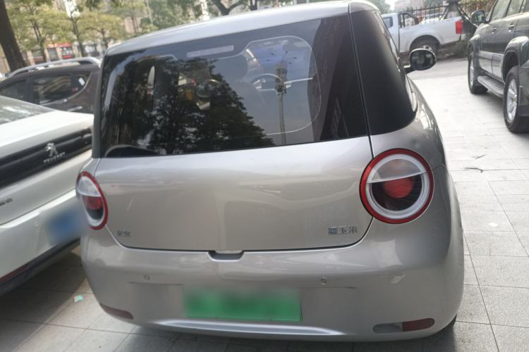 Used Qiyuan Lumin 2023 205km Xiangqin Version
