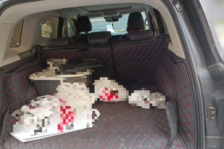 Used Haval DARGO 2022 2.0T DCT 4x4 Chinese Rural Dog Hunting Edition