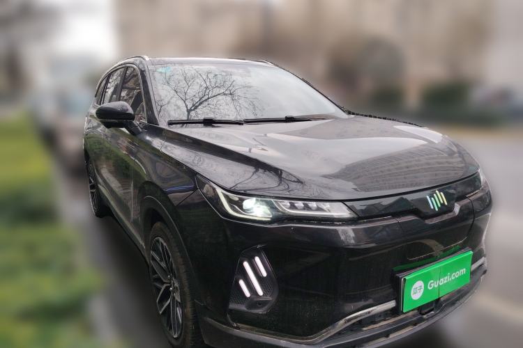 Used WM Motor EX6 2020 Plus Founder's Edition – First Launch