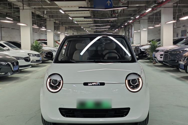 Used Qiyuan Lumin 2023 205km Xiangqin Version