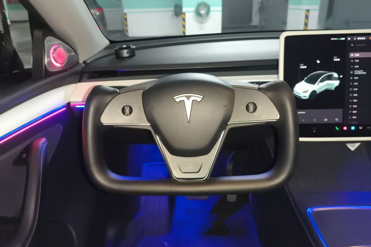 Used Tesla Model Y 2021 Standard Range Rear-Wheel Drive Version
