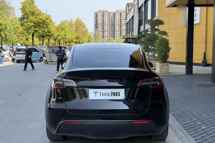 Used Tesla Model Y 2021 Long-Range All-Wheel-Drive Version
