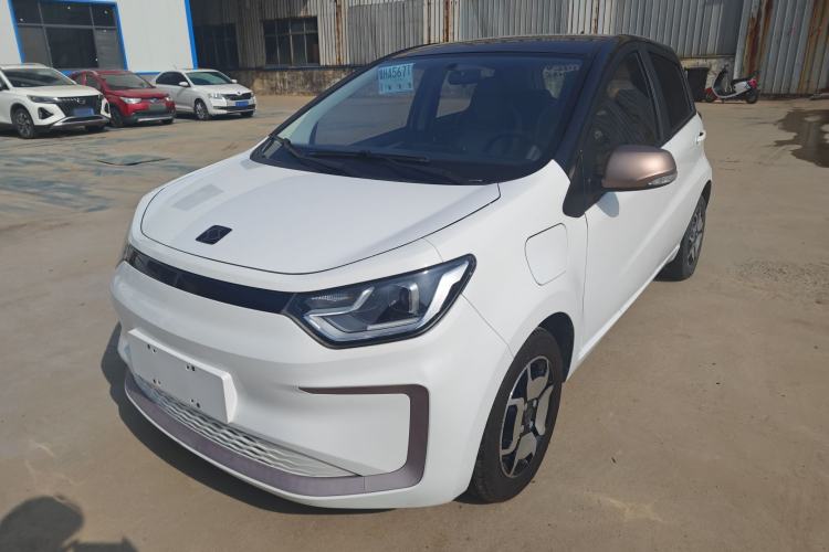 Used SOL E10X 2022 Flower Fairy Style Baby's Breath