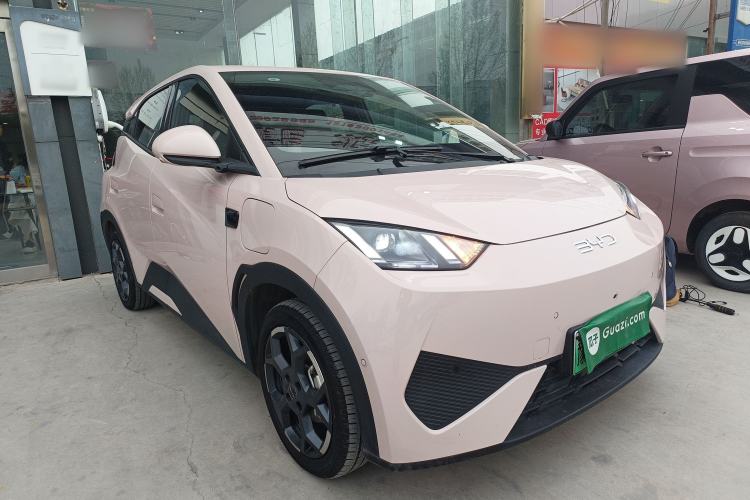 Used BYD Seagull 2025 Smart Drive Version 305 km Freedom Edition