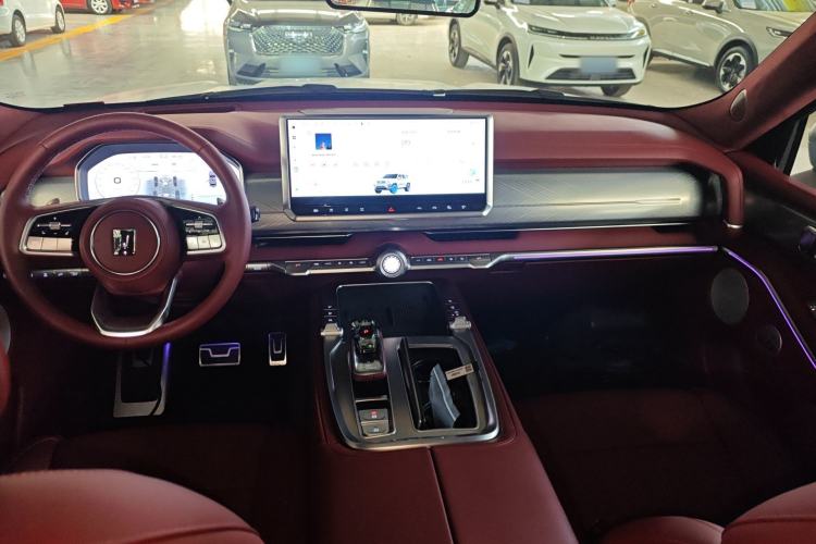 Used Tank 700 New Energy 2024 Hi4-T Extreme Edition Center Console