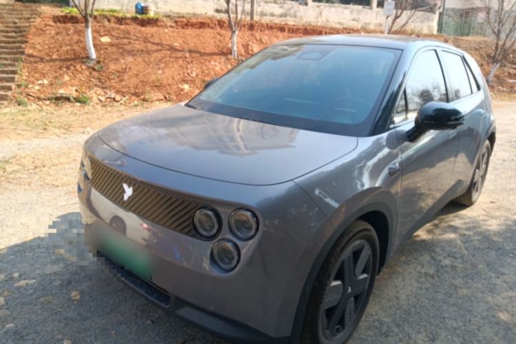 Used firefly firefly 2025 Illuminated Edition