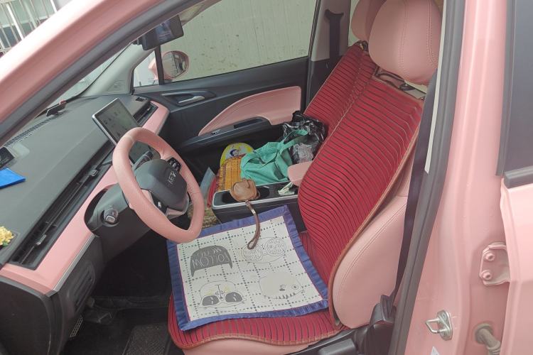 Used NETA V 2022 Chao 400 Lite Pink Custom Edition Left Front Seat