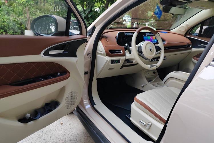 Used ORA Good Cat 2023 401 km Standard Range Prestige Version Lithium Iron Phosphate Driver Seat