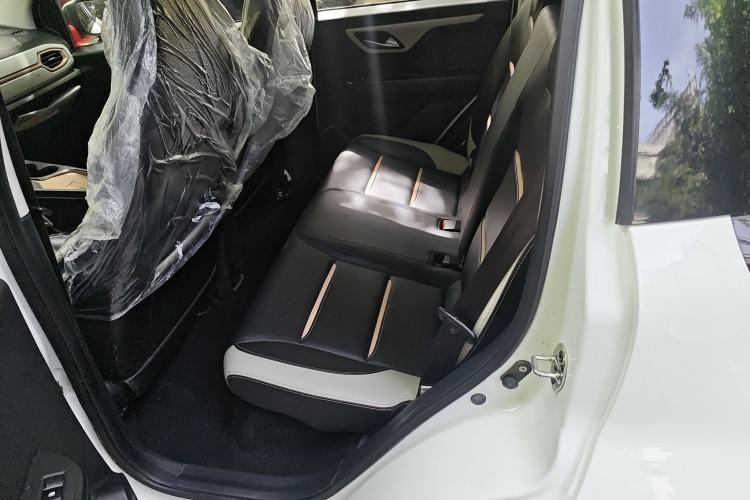 Used SOL E10X 2022 Flower Fairy Design Dandelion
