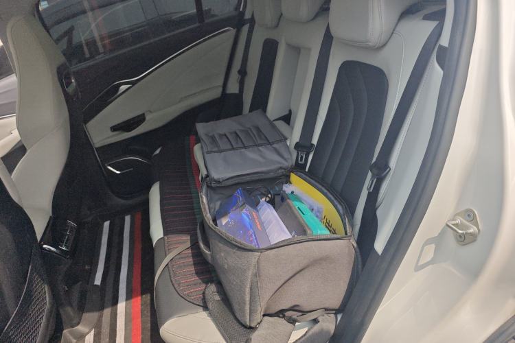 Used NETA U 2021 Pro 500 Lunar Edition Left Rear Seat