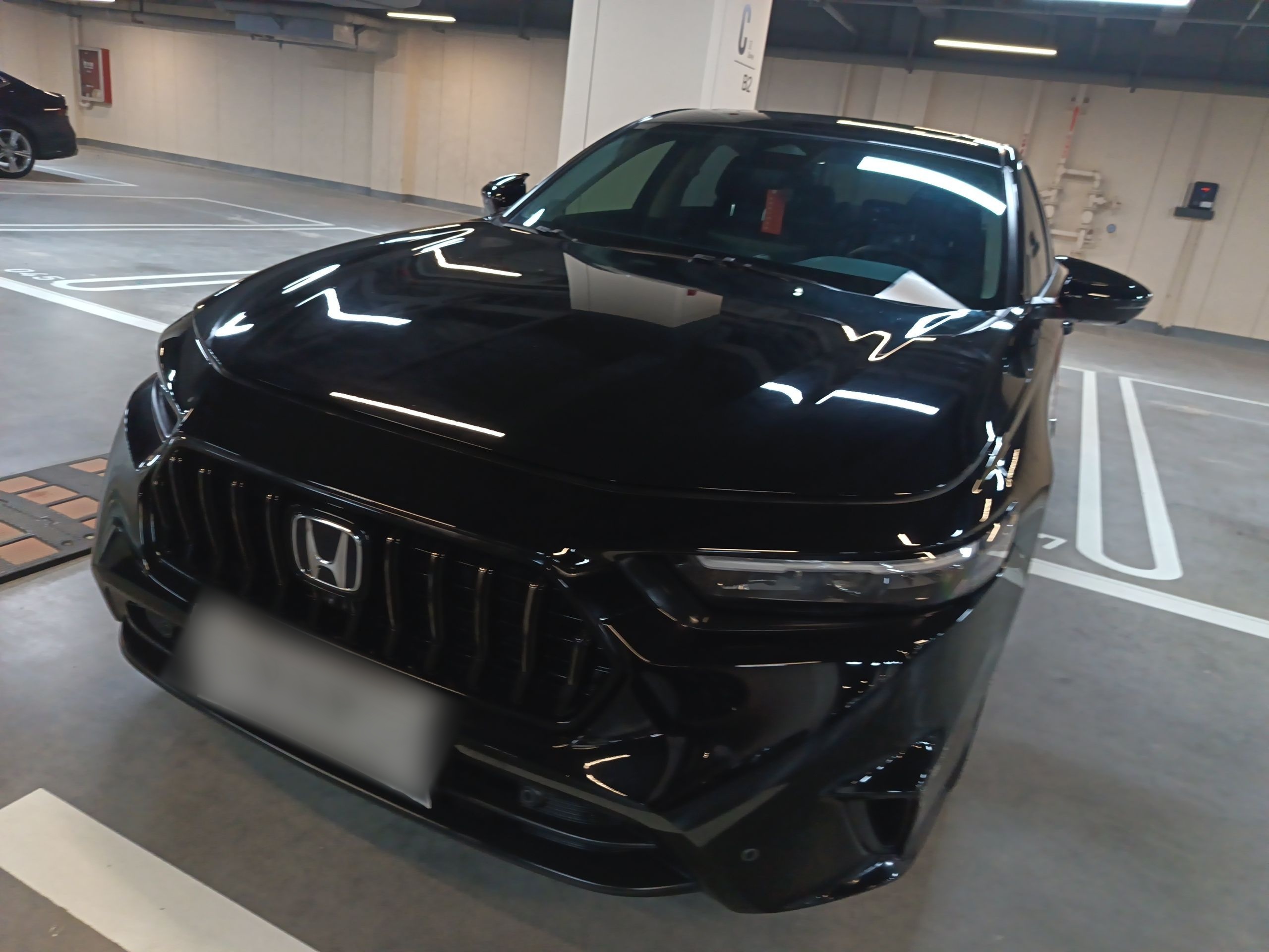 تحت مقدمة السيارة