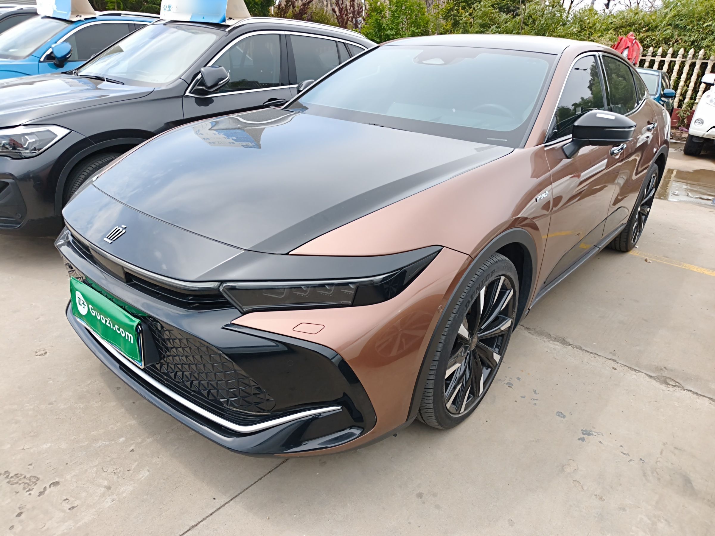 Parte inferior delantera