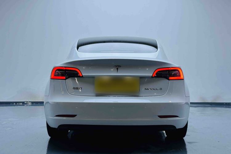 Used Tesla Model 3 2019 Standard Range Rear-Drive Upgraded Version