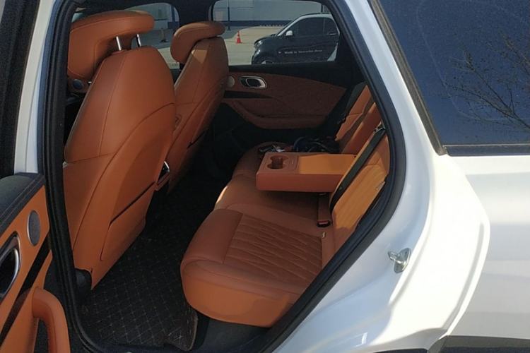 Used NETA L 2024 Extended-Range 220 Flash-Charge Edition