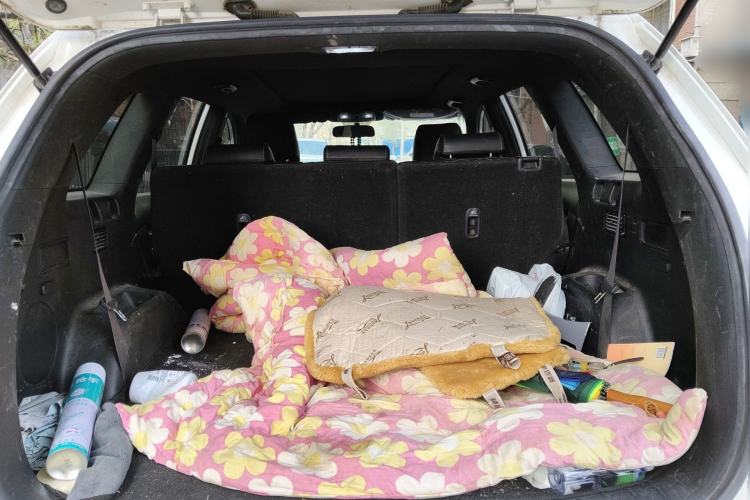 Used Kia KX7 2020 2.0T Automatic Two-Wheel Drive GLS 7-Seater