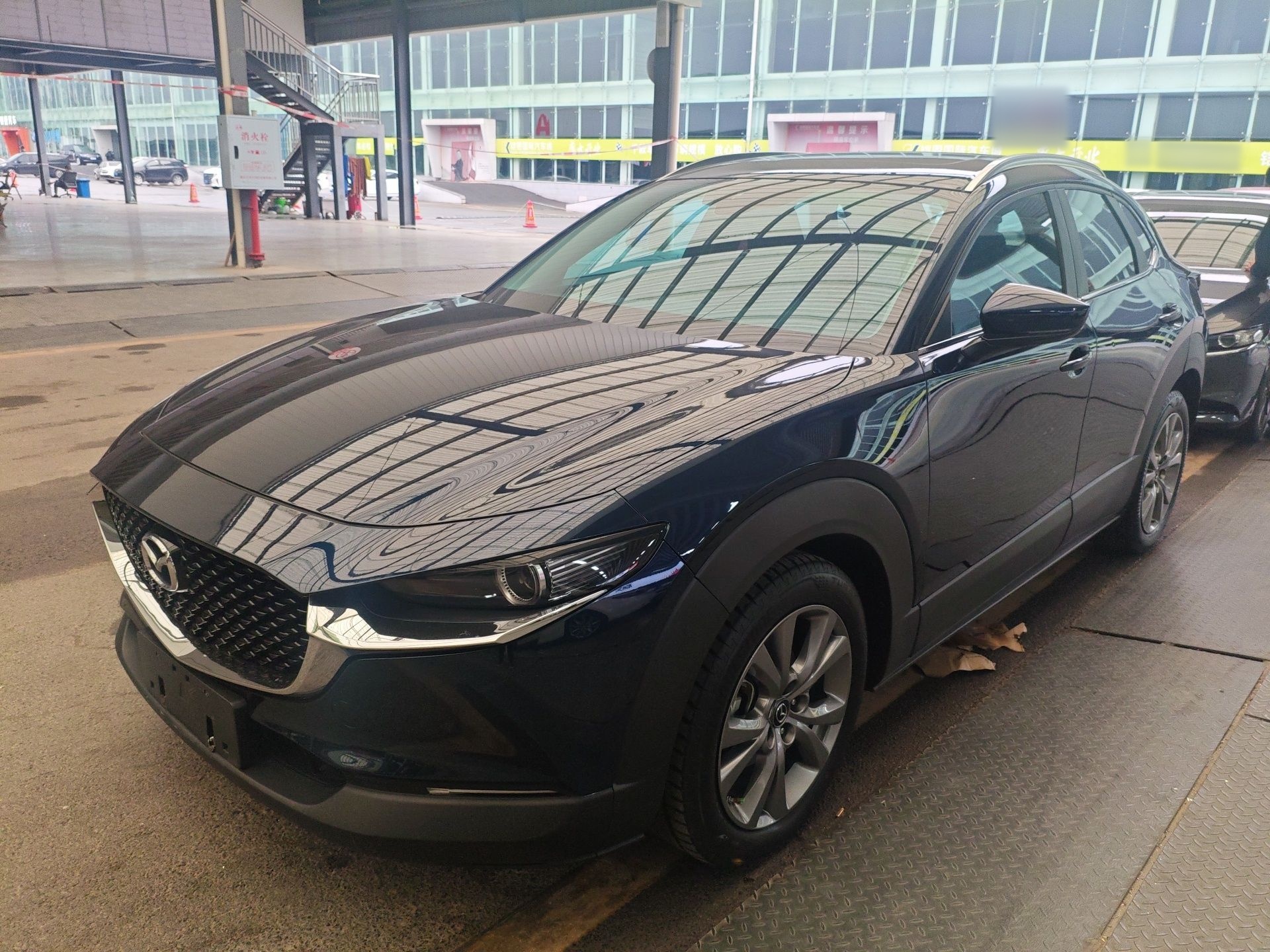 Parte inferior delantera