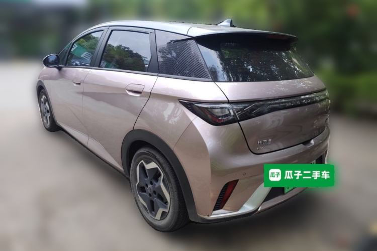 Used BYD Dolphin 2021 405 km Fashion Edition Rear Left 45 Deg