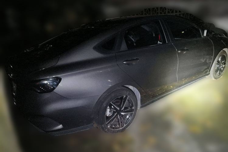 Used Geely Auto Binray 2024 Binrui COOL 1.5T DCT Champion Edition
