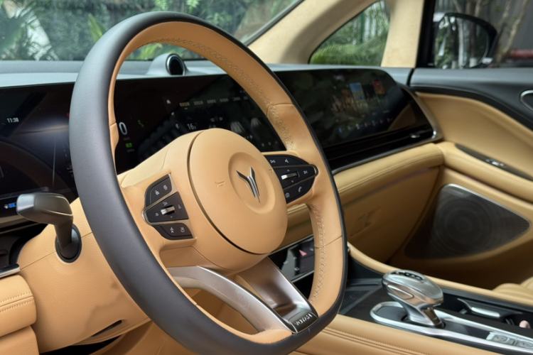 Used VOYAH Dream 2024 PHEV Ultra-Long Range Flagship Edition Interior 6