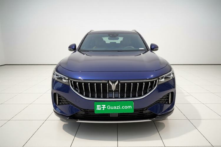 Used VOYAH FREE 2021 Four-Wheel Drive Standard Range-Extended Exclusive Luxury Package