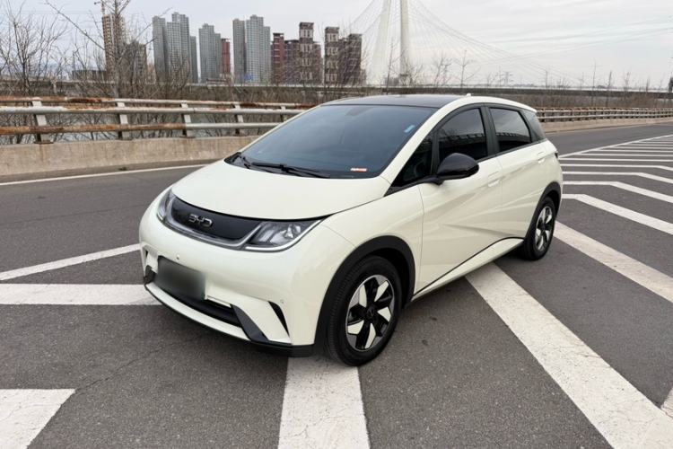 Used BYD Dolphin 2024 Honor Edition 420km Fashion Version