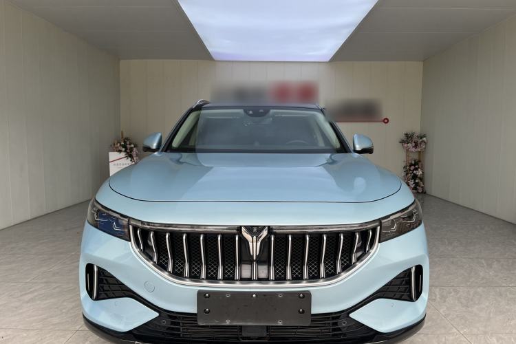 Used VOYAH FREE 2021 Four-Wheel Drive Standard Range-Extended Exclusive Luxury Package
