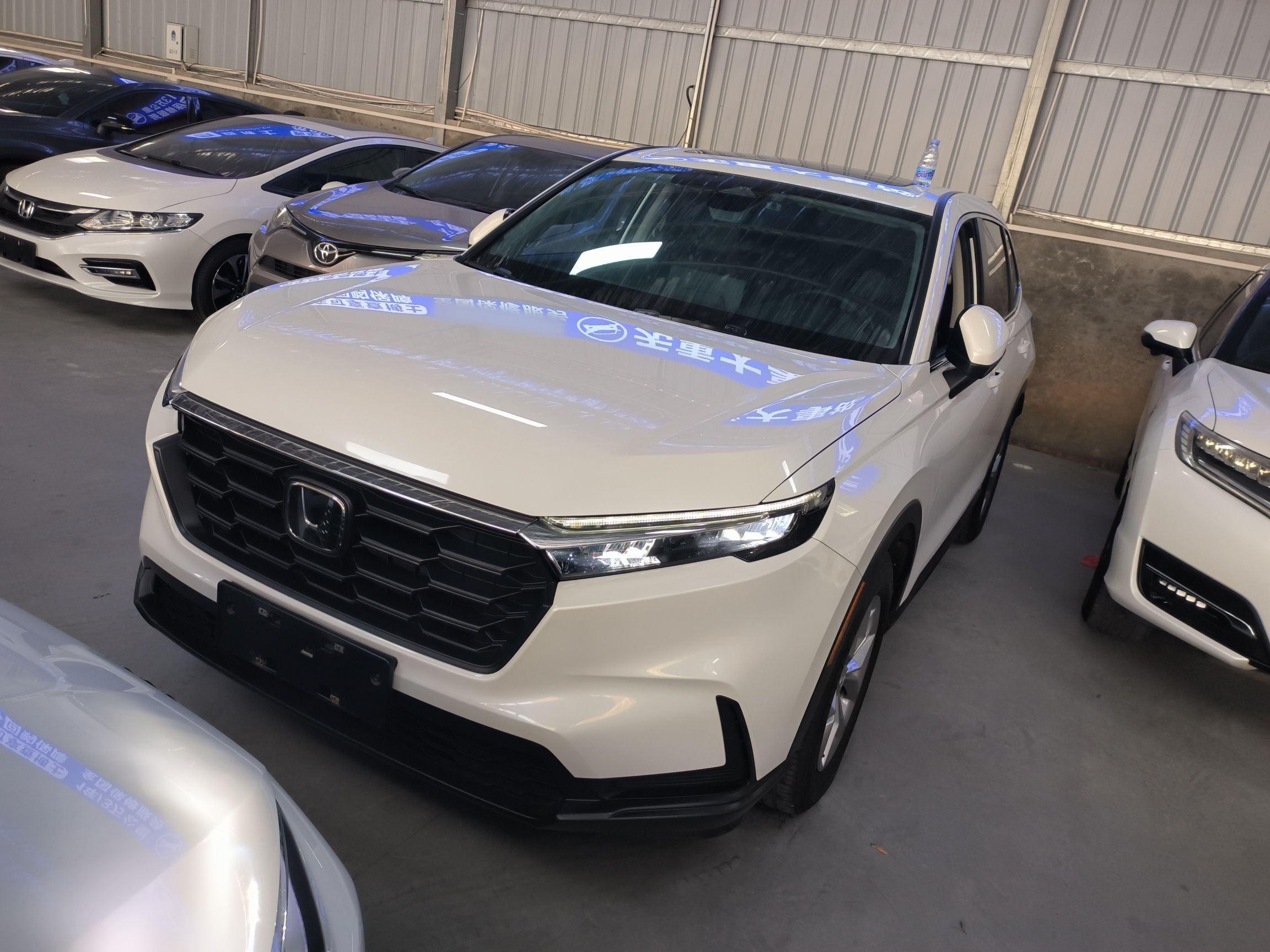 Parte inferior delantera