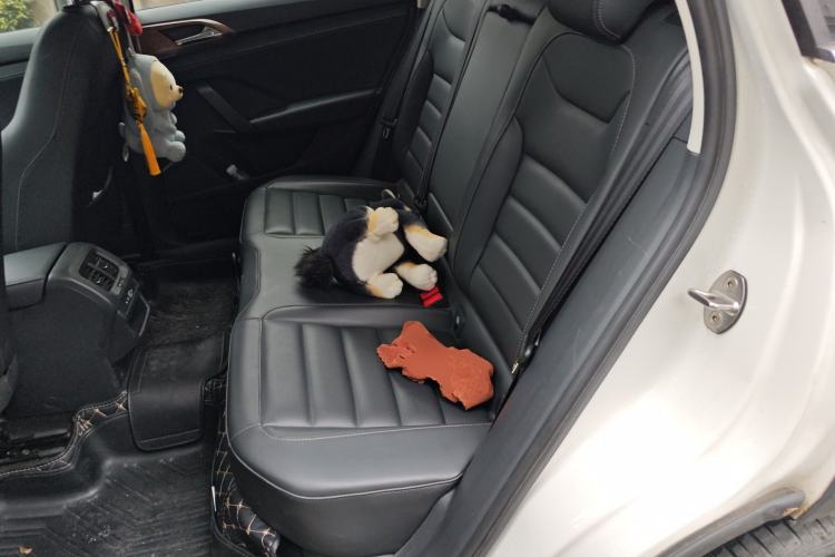 Used Volkswagen Tharu 2020 280TSI Two-Wheel Drive Luxury Plus Version China VI Standard Left Rear Seat