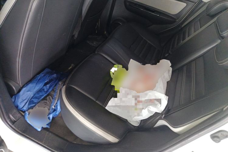 Used BAIC New Energy EC5 2019 New Style Edition Left Rear Seat