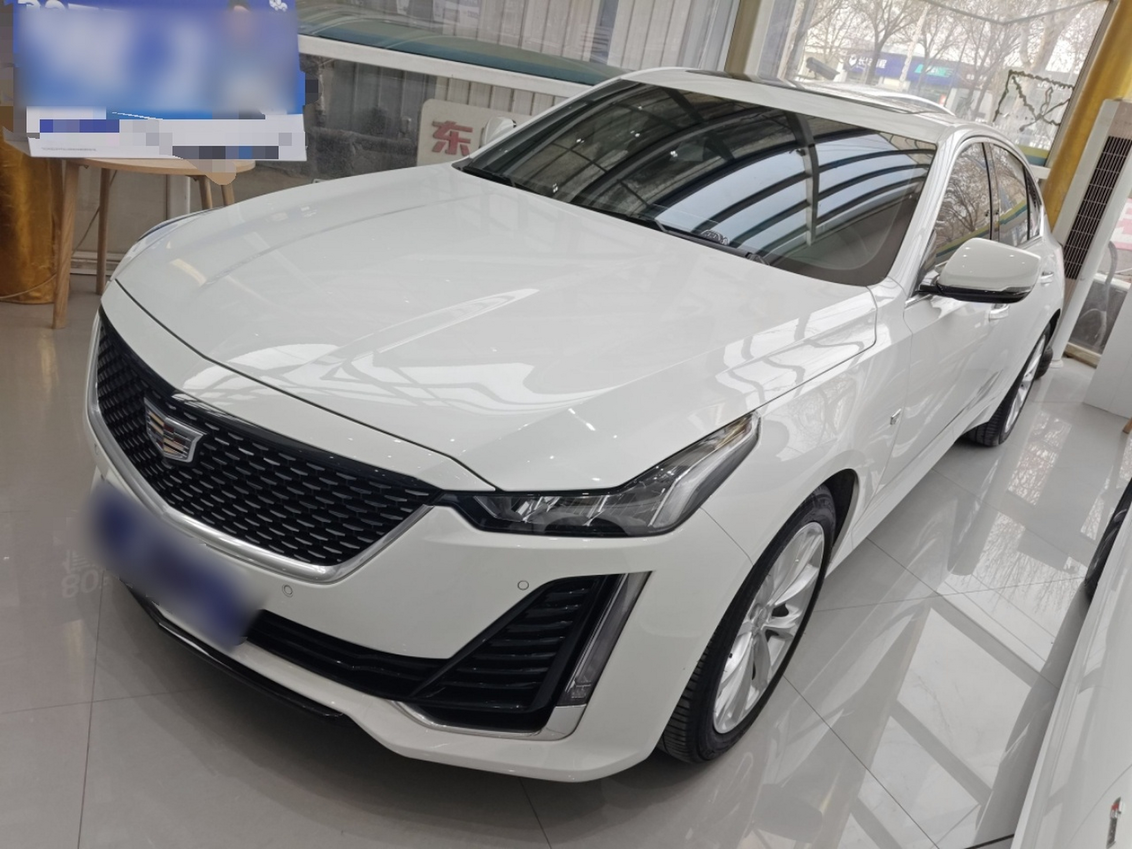 Under Front Bumper