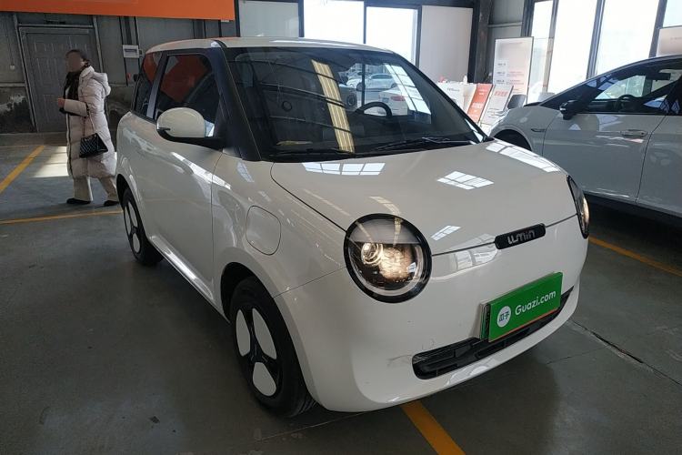 Used Qiyuan Lumin 2025 205 km Xiangqin Version
