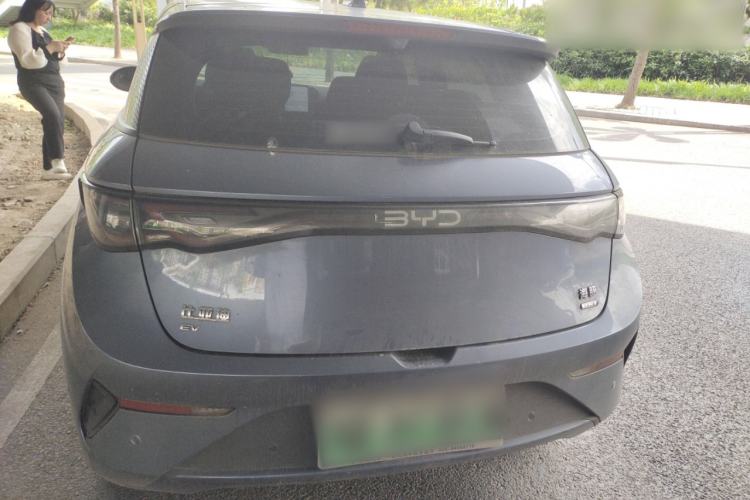 Used BYD Dolphin 2025 Intelligent Driving Version 410 km Fashion Edition Rear