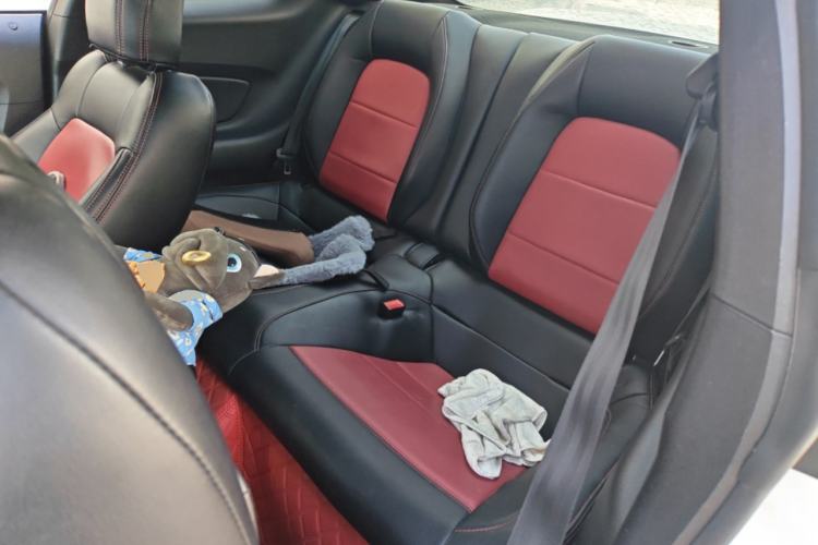 Used Ford Mustang  Left Rear Seat
